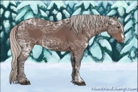 Horse Color:Silver Brown Ice 