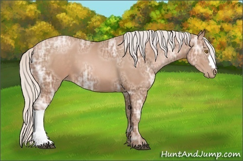 Horse Color: Silver Brown Ice Pearl 