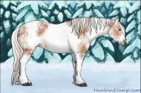 Horse Color:White Spotted Silver Bay Ice Tobiano Frame 