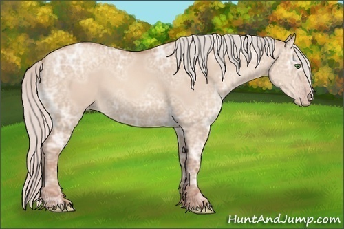 Horse Color: Silver Classic Champagne Ice Dun 