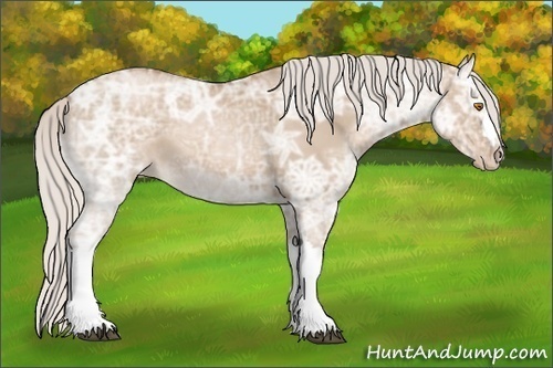 Horse Color: Silver Grullo Ice Pearl 