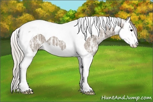 Horse Color: Silver Grullo Ice Splash Tobiano 
