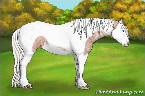Horse Color: Silver Bay Ice Splash Tobiano 