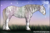 Horse Color:Silver Black Ice Splash 