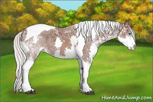 Horse Color: Silver Brown Ice Splash Tobiano 