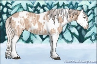 Horse Color:White Spotted Silver Brown Ice Dun Splash 