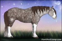 Horse Color:ERROR: UNKNOWN ANOMALY