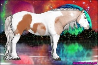Horse Color:Silver Bay Splash Tobiano