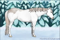 Horse Color:Liver Red Dun Ice Splash 