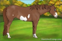 Horse Color:Chestnut Frame 