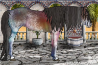 Horse Color:White Spotted Bay 