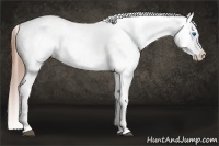 Horse Color:Chestnut Splash Snowcap 