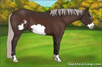 Horse Color:Silver Brown Frame 