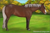 Horse Color:Silver Brown Frame 