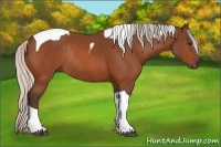 Horse Color:Silver Bay Tobiano Rabicano 