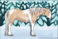 Horse Color:Silver Amber Champagne Splash Tobiano Rabicano 