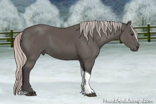 Horse Color: Silver Black Sabino Tobiano 