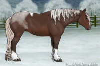Horse Color:Silver Brown Sabino Tobiano 