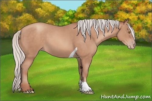 Horse Color: Silver Sable Champagne Tobiano 