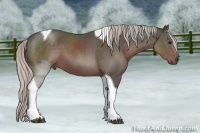 Horse Color:Silver Black Tobiano 