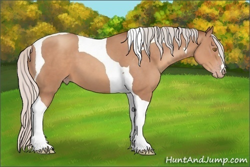 Horse Color: Silver Sable Champagne Tobiano 
