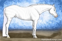 Horse Color:Watercolor Perlino Dun Snowcap 