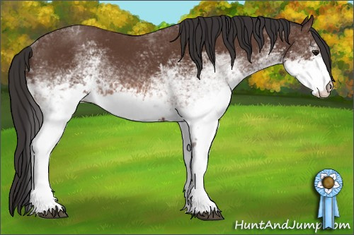 Horse Color: White Spotted Bay 