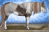 Horse Color:Liver Chestnut Sabino