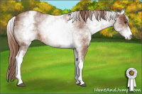 Horse Color:White Spotted Chestnut Sabino