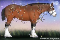 Horse Color:Brown Sabino