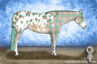 Horse Color:Plaid  White Spotted Chestnut Sabino Blanket 
