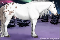 Horse Color:Bay Roan Varnish 
