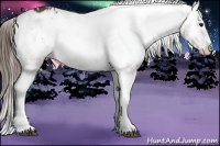 Horse Color:Bay Roan Splash Appaloosa
