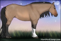 Horse Color:Brown Roan Dun Tobiano 