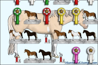 Horse Color:White Spotted Silver Classic Champagne Dun Tobiano 