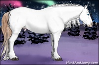 Horse Color:Bay Roan Dun Splash Tobiano Blanket 