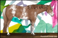 Horse Color:White Spotted Chestnut Sabino 
