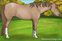 Horse Color:Black Pearl 