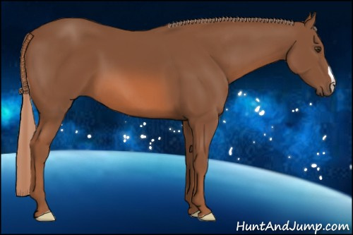 Horse Color: Liver Chestnut 