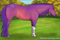 Horse Color:Watercolor Bay 