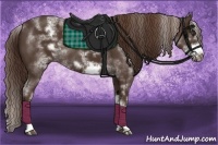 Horse Color:White Spotted Liver Chestnut Frame 
