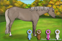 Horse Color:Silver Grullo Sabino 