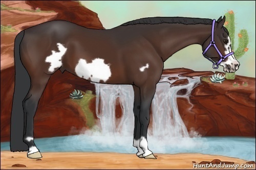 Horse Color: Brown Frame 