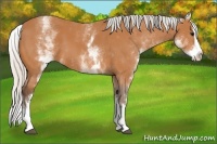 Horse Color:White Spotted Silver Bay Splash 