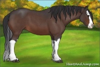 Horse Color:Brown Roan Splash 