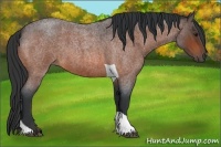 Horse Color:Bay Roan Tobiano 