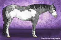 Horse Color:Black Ice Frame Rabicano 