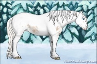 Horse Color:White Spotted Silver Black Ice Pearl Splash Tobiano 