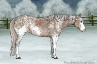 Horse Color:White Spotted Silver Black Ice Sabino Splash 