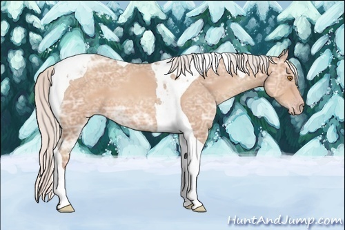 Horse Color: Silver Classic Champagne Ice Tobiano 